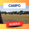 Campo Alquililo Mauricio Mayer 85 Has con Alfalfa